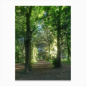 Path Through The Woods Canvas Print