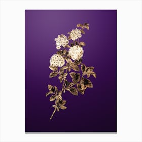 Gold Botanical Germander Meadowsweet on Royal Purple Canvas Print
