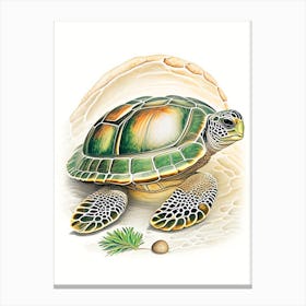 Hatching Sea Turtle, Sea Turtle Vintage 1 Canvas Print
