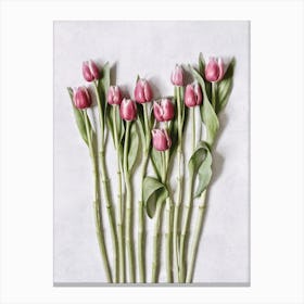 Pink Tulips Flatlay Canvas Print