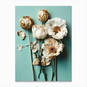 Dry Flowers On Turquoise Background Canvas Print