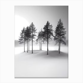 Swedish Winter Landscape Canvas Print