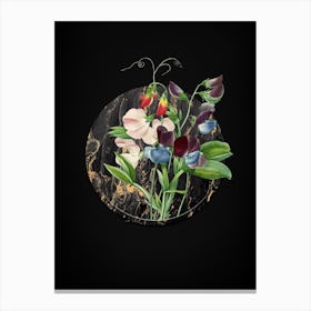 Vintage Sweet Pea Botanical in Gilded Marble on Shadowy Black n.0030 Canvas Print