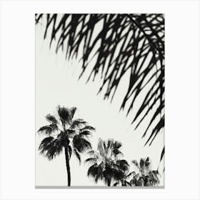 Palm Trees Black and White_2192479 Canvas Print