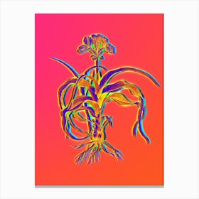 Neon Iris Scorpiodes Botanical in Hot Pink and Electric Blue n.0522 Canvas Print