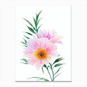 Cypress 2 Watercolour Flower Canvas Print