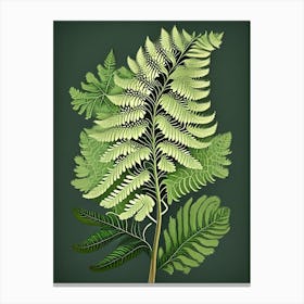 Southern Maidenhair Fern Wildflower Vintage Botanical Canvas Print