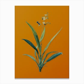 Vintage Flax Lilies Botanical on Sunset Orange n.0910 Canvas Print