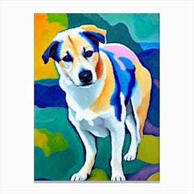 Canaan Dog Fauvist Style dog Canvas Print