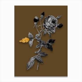 Vintage Provence Rose Black and White Gold Leaf Floral Art on Coffee Brown n.0492 Canvas Print