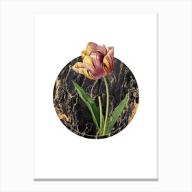 Vintage Tulip Botanical in Gilded Marble on Clean White n.0018 Canvas Print