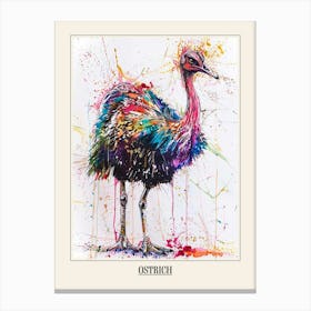 Ostrich Colourful Watercolour 1 Poster Canvas Print