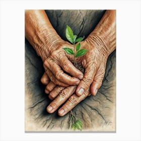 Hands Holding A Plant 1 Canvas Print