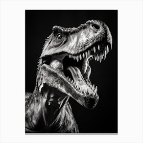 Black And White Photograph Of A Tyrannosaurus Rex Canvas Print