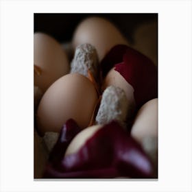 Eggs In A Carton 23 Canvas Print