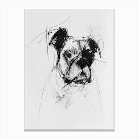 Bulldog Charcoal Line Canvas Print