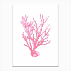 Coral Reef Coastal Canvas Print