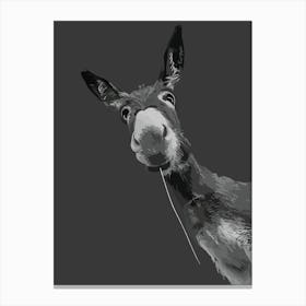 Funny Donkey Grayscale Portrait Art Canvas Print