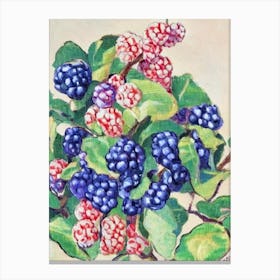 Mulberry 1 Vintage Sketch Fruit Canvas Print