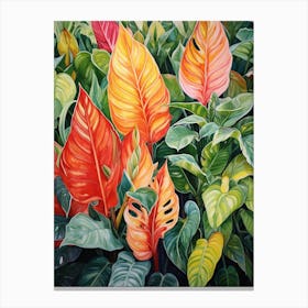Tropical Plant Painting Chinese Evergreen 3 Canvas Print