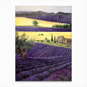 Lavender Field Canvas Print