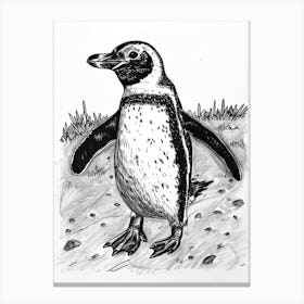 African Penguin Waddling 1 Canvas Print