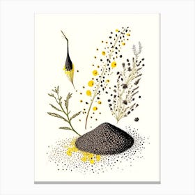 Black Mustard Seeds Spices And Herbs Pencil Illustration 2 Canvas Print