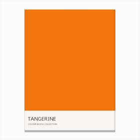 Tangerine Colour Block Poster Canvas Print