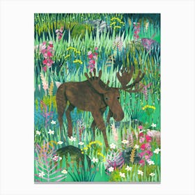 Moose In The Meadow Canvas Print