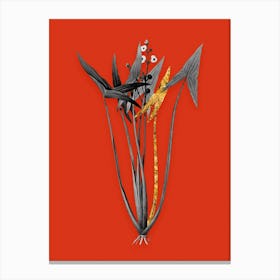 Vintage Arrowhead Black and White Gold Leaf Floral Art on Tomato Red n.0581 Canvas Print