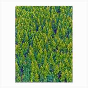 Verdant Canopy Lush Pine Forest In Vibrant Green Hues Canvas Print