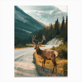 Elk Standing On The Road Canvas Print