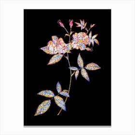 Stained Glass Hudson Rosehip Mosaic Botanical Illustration on Black n.0298 Canvas Print