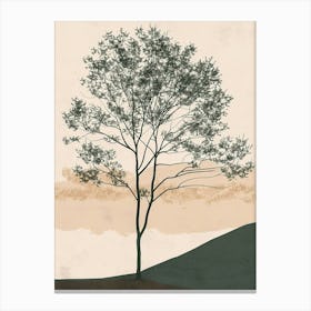 Alder Tree Minimal Japandi Illustration 4 Canvas Print