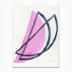 Pink Bowl Canvas Print