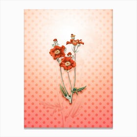 Chilian Guem Flower Vintage Botanical in Peach Fuzz Polka Dot Pattern n.0006 Canvas Print