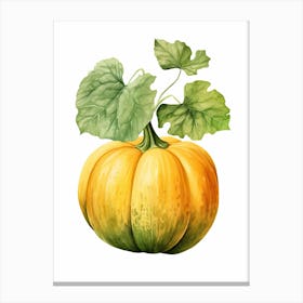 Acorn Squash Pumpkin Watercolour Illustration 1 Canvas Print
