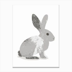 English Silver Rabbit Nursery Illustration 2 Canvas Print