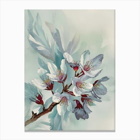 Cherry Blossoms 27 Canvas Print