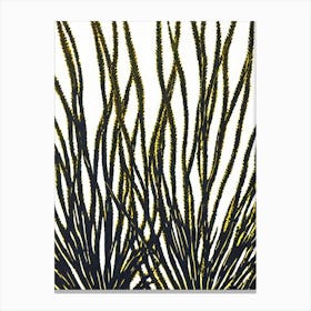 Acropora Millepora Efflorescens Linocut Canvas Print