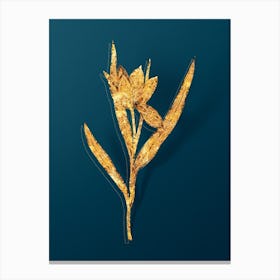 Vintage Tulipa Oculus Colis Botanical in Gold on Teal Blue n.0220 Canvas Print
