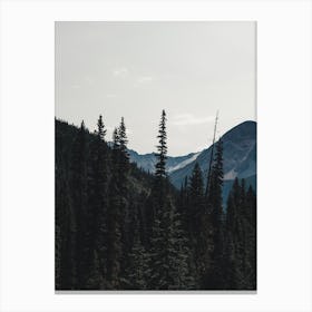 Forest And Mountains Canvas Print