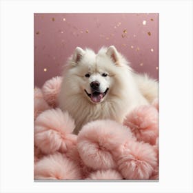 Samoyed Canvas Print