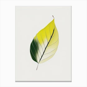 Lemon Leaf Abstract Canvas Print