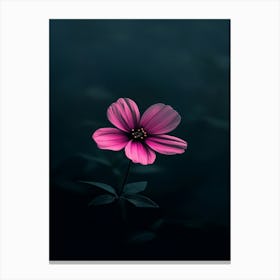 Pink Flower Canvas Print