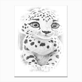 Snow Leopard Drawing Canvas Print