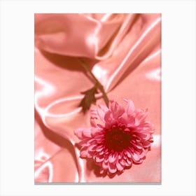 Pink Flower On Silk Canvas Print