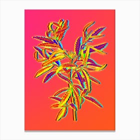 Neon Sweetfern Botanical in Hot Pink and Electric Blue n.0486 Canvas Print
