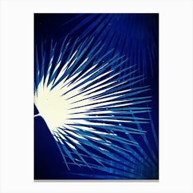 Electric blue cyanotype palm leaves Canvas Print