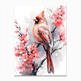 Cardinal bird Canvas Print
